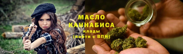 молекула духа Покров