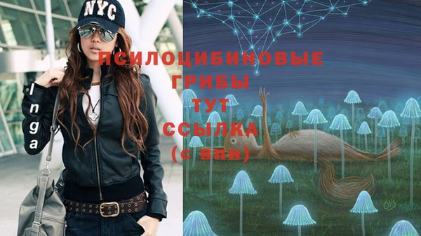 spice Арсеньев