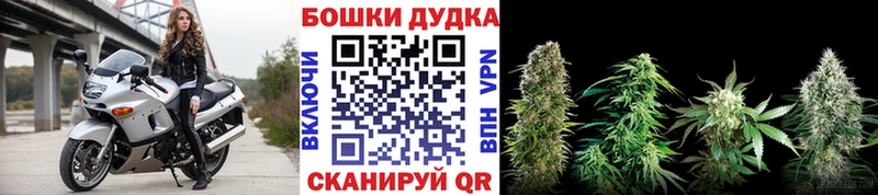 где купить наркотик Сусуман Конопля марихуана